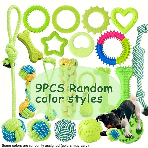 Lot de Jouets pour Chien 