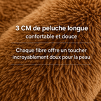 cocon ultra-moelleux pour votre compagnon