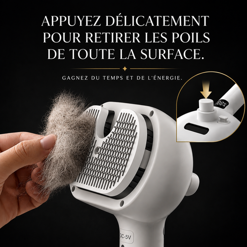 Brosse électrique à vapeur