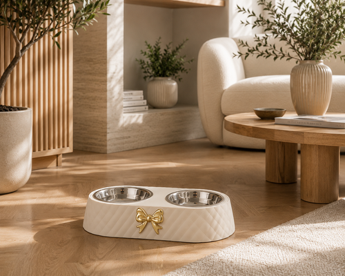 Gamelle luxueuse en acier inoxydable