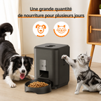 Distributeur de croquettes intelligent à distance