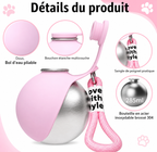 Gourde d'eau pour chien en acier inoxydable