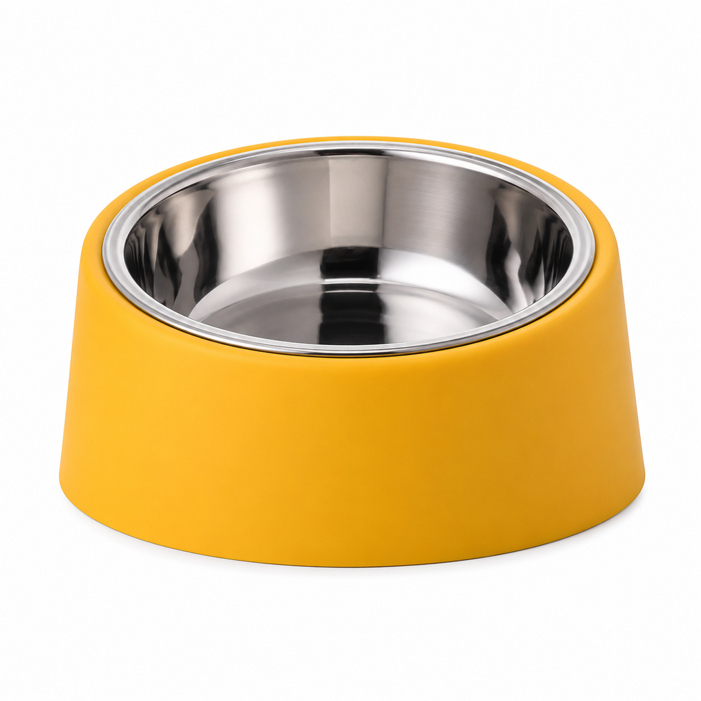 Gamelle surélevée en acier inoxydable pour chien