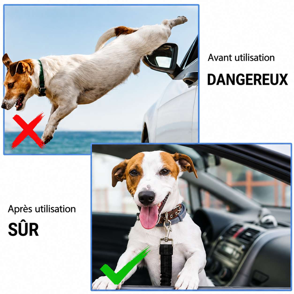 Harnais de sécurité extensible pour les trajets en voiture