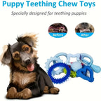 Lot de Jouets pour Chien 