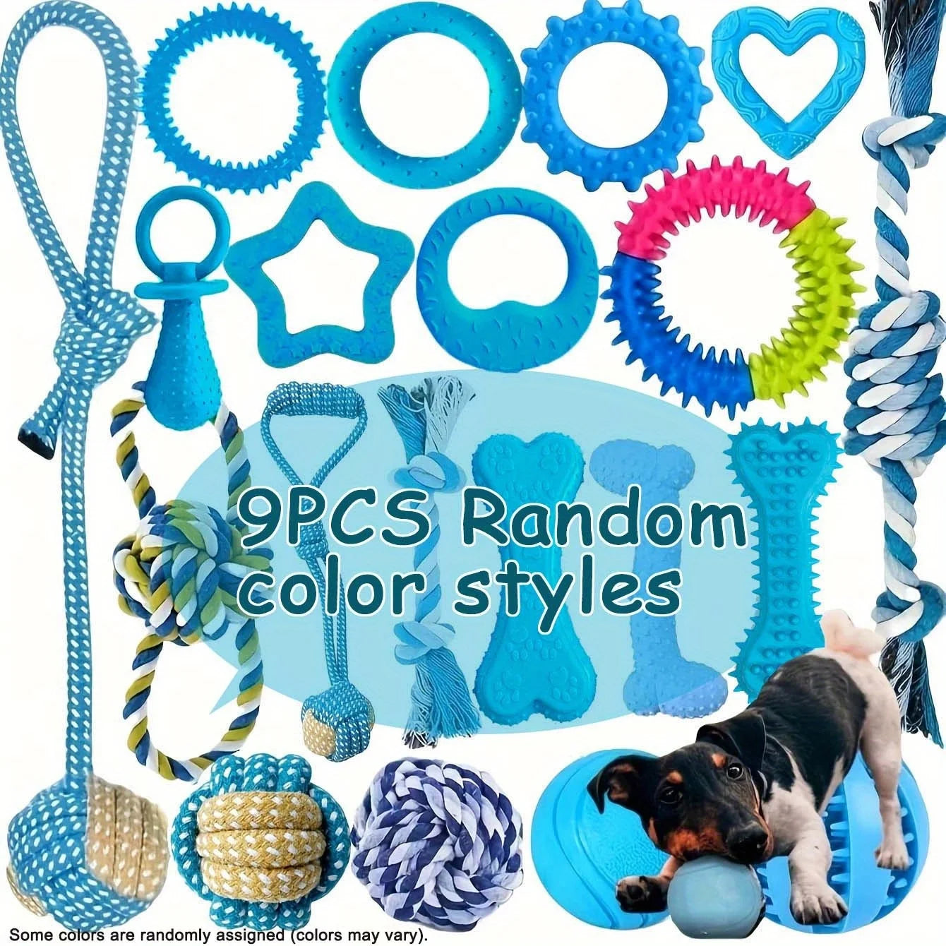 Lot de Jouets pour Chien 