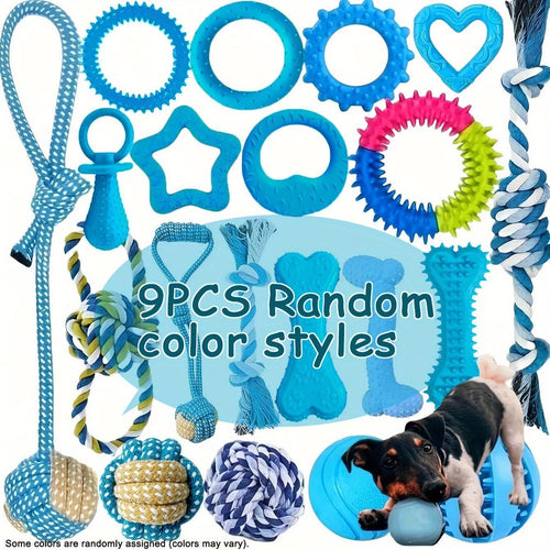 Lot de Jouets pour Chien 