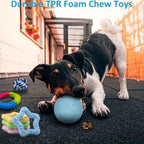 Lot de Jouets pour Chien 