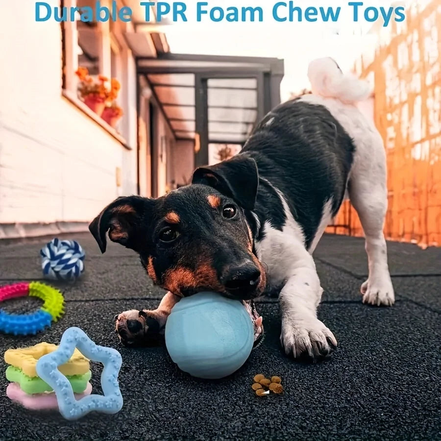 Lot de Jouets pour Chien 