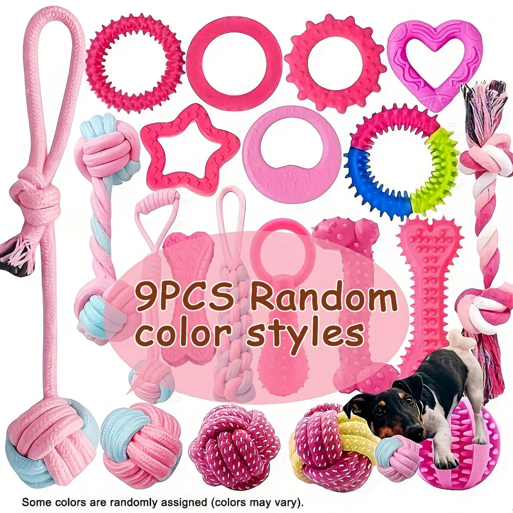 Lot de Jouets pour Chien 